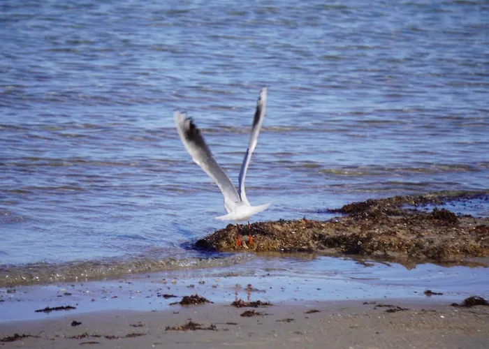 Edelstein Am Appartement